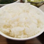 キッチン ブルー グローブ - ご飯大盛りのアップ