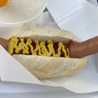 ベイスターズドッグ_1