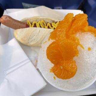 ベイスターズドッグ_0