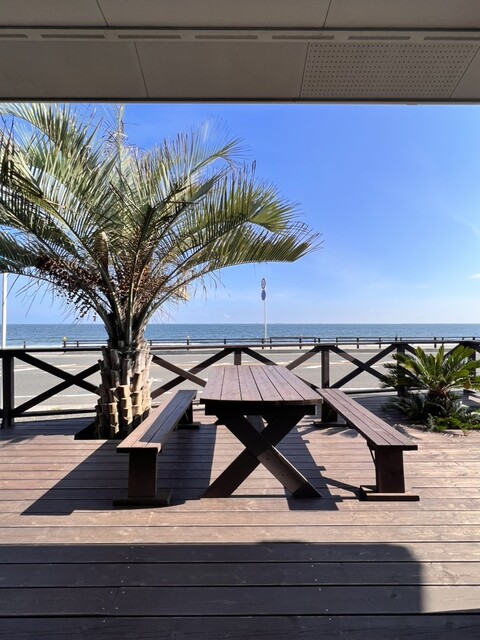 MATTY'S（マティーズ） - 下馬（その他）の写真