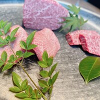 USHIGORO S. SHINJUKU - 