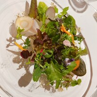 レフェルヴェソンス - 