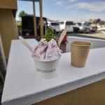 gelatosea plus+ - 苺ミルク、ブルーベリーヨーグルト、抹茶