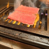 うしごろバンビーナ 渋谷店 -  うしごろバンビーナ 渋谷店 -