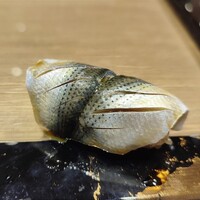 川崎 鮨 よこ田 - コハダ