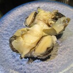 大江戸 - 赤西貝