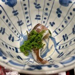 末冨 - 鳥貝と筍の花山椒しゃぶしゃぶ