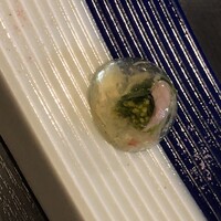 レストラン　ノリ　エ　ノジ - 