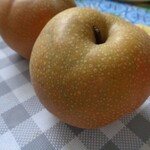 押田梨園 - アップ