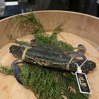 新中国料理HARAKAWA 北新地店 - 