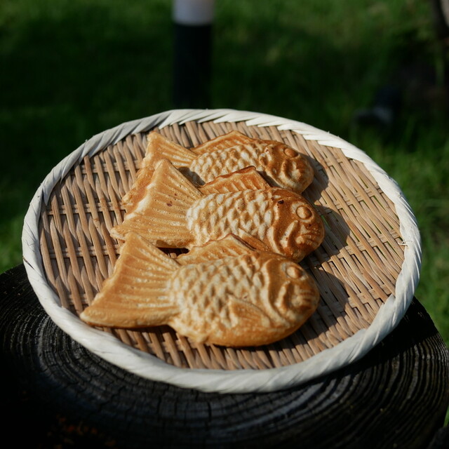 Taiyaki Murasakiya, Toyoake, Japan