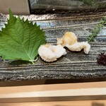 秀寿司 - 石垣貝、初めて食べた！提供される時はまだ動いていて、コリッコリで鮮度抜群！海の味がしました。淡白めな貝ってそこまで執着はないタイプなんですけど、これは想定外！一気にファンになりました！