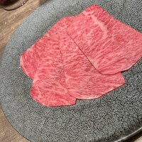 USHIGORO S. SHINJUKU - 