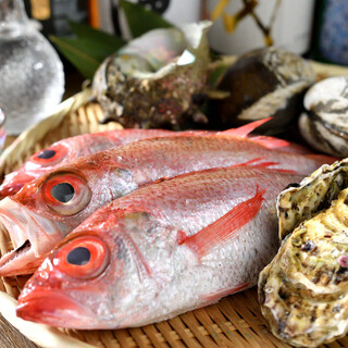 鮮魚と炉端と純米酒 かきび_2
