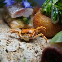 Auberge eaufeu - 