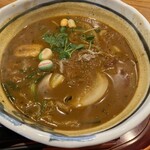 スープカレー奥芝商店 - スープ大盛り