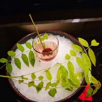 研覃 ほりべ - 食前酒は山桃お酒