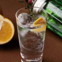 Gin
