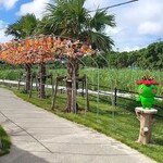 ラ・クンチーナ - 