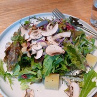 AWkitchen figlia 渋谷スクランブルスクエア - 季節野菜と奈良県　山口農園の有機野菜のガーデンサラダ