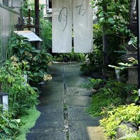 古月 - 