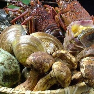 浅草 魚料理 遠州屋_1