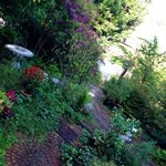 カフェ ソラ - 緑に囲まれたアプローチ