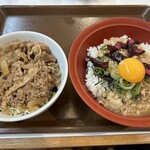 Sukiya - 牛丼ライト(お肉並盛)と旨だしとりそぼろ丼(並盛)です。（2023年９月）