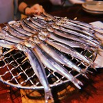 産直さばと青魚 伏見あおい - 