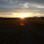 グランディア芳泉 - 日の出