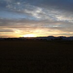 グランディア芳泉 - 