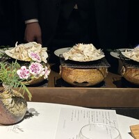 レフェルヴェソンス - 