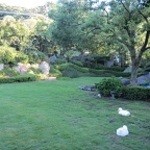 フレンチレストラン 蔦の葉 - 広いお庭