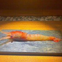 隼 - 
