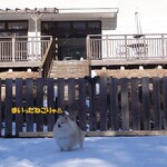 CARO FORESTA Karuizawa Jyarudino - 凝固中。。