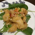 Enkaen - 