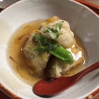 東山望 TAMANOHIKARI - 