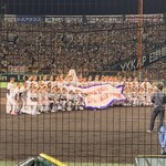 阪神甲子園球場 - 