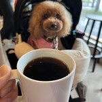 PARKER COFFEE STAND - 帰り