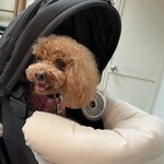 TASTY PLACE THE DINING - ご機嫌なシェリ