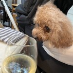 TASTY PLACE THE DINING - シェリと乾杯♪