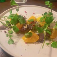 GRIGLIA Pagina -  GRIGLIA Pagina -