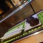 和ダイニングみつ橋 - 