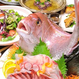 和座ダイニング 胡白_0