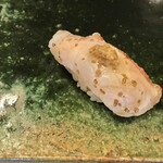 鮨処木はら - 釣りきんきの炙り　肝のせ
      ほんのりとした炙りなのに香ばしさが素敵