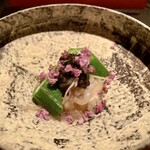 エクアトゥール - 烏賊そうめん 山芋 オクラ キャビア