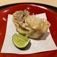 新ばし 星野 - ぐじ松笠揚げ