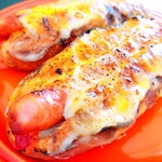 サイドフィールドブレッド - 気まぐれドック