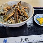 さんまんま魚政 - 