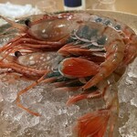 銀座 しのはら - ボタン海老の追加料理は注文しなかったけど